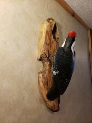 Pileated woodpecker wood carving songbird carving duck decoy Casey Edwards 8