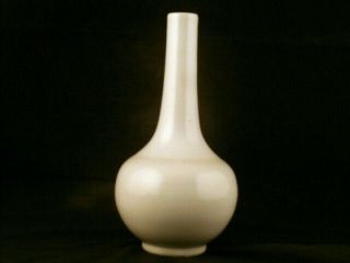 7.  8 Inches Fine Chinese Ming Dy Tianqi Celadon Glaze Porcelain Vase P118