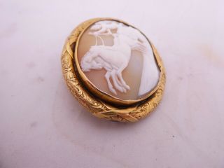 18ct gold carved shell cameo locket back brooch,  1841 heavy 19.  1 grams 18k 750 2