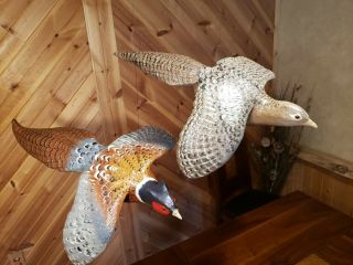 Ring - necked pheasant wood carving game bird duck decoy Casey Edwards 11