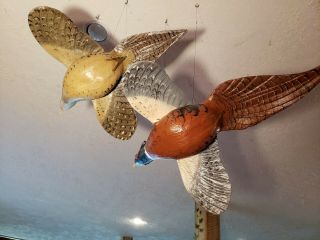 Ring - necked pheasant wood carving game bird duck decoy Casey Edwards 8