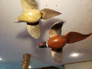 Ring - necked pheasant wood carving game bird duck decoy Casey Edwards 9