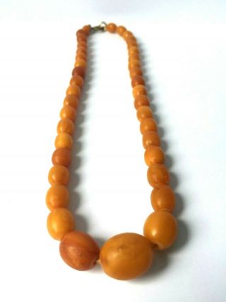 Antique Yolk Amber Necklace With Graduated Beads And Matt Finish