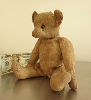 Antique Steiff Teddy Bear Doll - Mohair - Disk Jointed - 11 " - Nr