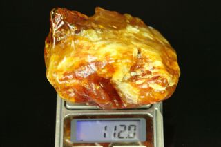 112 Gr.  Natural Old Antique Butterscotch Egg Yolk Raw Baltic Amber Stone B708