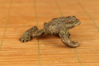 Old Bronze Hand Casting Jinchan Frog Statue Figure Collect Ornament Gift