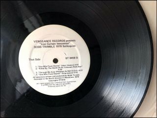 Iron Curtain Innocence by Bobb Trimble,  Vinyl LP Record 1980,  Rare VG, 3