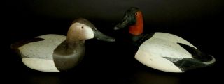 J Corb Reed Vintage Solid Wood Hand Carved Duck Decoys Canvasback Signed