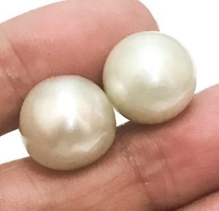 Gorgeous 14k White Gold Round South Sea 12.  7mm White Pearl Classic Stud Earrings