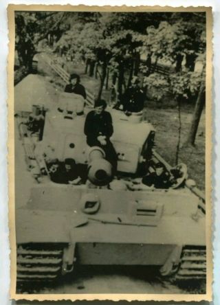 Ww2 Archived Photo Panzer Vi Heavy Tank