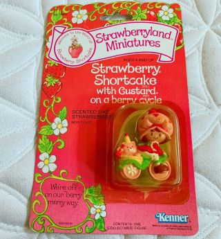 Strawberry Shortcake With Custard On A Berry Cycle Mini Vintage Rare MOC 2