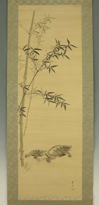 掛軸1967 Japanese Hanging Scroll : Matsumura Keibun " Bamboo And Two Turtles " @b908