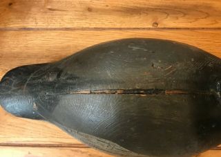 Antique Mason Premier Drake Redhead Decoy OP 10