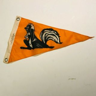 Vintage Nos Skunk 1950s - 1960s Made In Italy Pennant Boat Flag