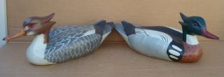 Paul Arness Hand Carved Red Breasted Merganser Duck Decoys Great Cond