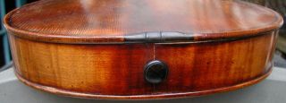Vintage Czech Slovakia Strad Violin Case Tiger Maple Full Size Reddish Varnish 11