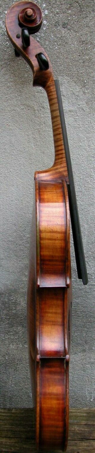 Vintage Czech Slovakia Strad Violin Case Tiger Maple Full Size Reddish Varnish 12