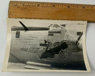 Orig Wwii Photo Nose Art B - 24 Buzz Tail Ii Bomber Aircraft 487th Group Crashed