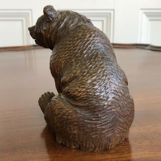 An Antique Charming Black Forest Carved Wood Bear,  19th Century.  13cm High. 4