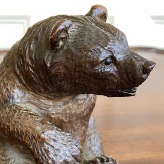 An Antique Charming Black Forest Carved Wood Bear,  19th Century.  13cm High. 5