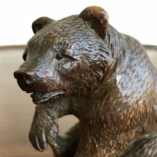 An Antique Charming Black Forest Carved Wood Bear,  19th Century.  13cm High. 6