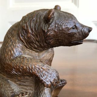 An Antique Charming Black Forest Carved Wood Bear,  19th Century.  13cm High. 7