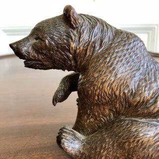 An Antique Charming Black Forest Carved Wood Bear,  19th Century.  13cm High. 8