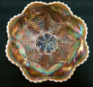 Carnival Rare Dugan Peach Opalescent Heavy Web 8 Sided Bowl “simply Put Awesome”