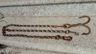 Newhouse Antique Wolf Trap Drag Hook & Chain,  4 1/2,  6ft.  Heavy Chain,  Swivel 2