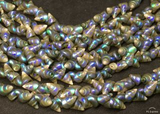 Vintage Rare Aboriginal Maireener Iridescent Shell Necklace - 72 " / 6 Foot Long