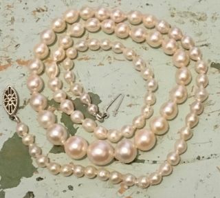 Bargain - Vintage Saltwater Akoya Cultured Pearl Necklace Marked 10 K Gold