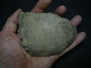Cro Magnon - early human skull fragment - EXTREMELY RARE 9