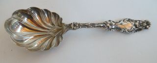 Sterling Silver Whiting Gorham Lily Large Preserve Serving Spoon 1902