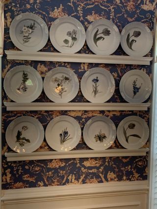 Rare 12 Royal Copenhagen Art Nouveau Plates From 1898 - 1923 Nearly Flawless