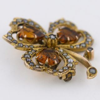 Antique Victorian Edwardian 9k Gold Clover Heart Citrine Seed Pearl Brooch Pin 5