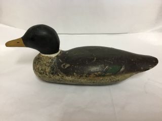 Very Old Hand Carved And Painted Wooden Decoy Duck Late 1800 