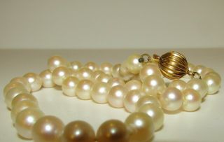 Elegant,  Antique,  Natural Aaa Sea Pearl Bead Necklace With 14 Ct Gold Clasp
