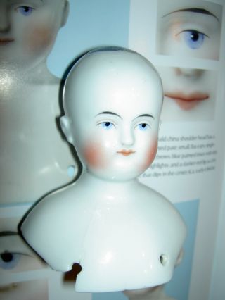 Charming,  Rare Early Antique Biedermeier China Doll (bald) Shoulder Head Only
