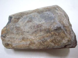Neolithic Ancient Stone Axe Flintstone Age Artifact Tool Primitive Prehistoric