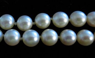 VINTAGE MIKIMOTO JAPAN DOUBLE STRAND PEARL NECKLACE 16 1/4 