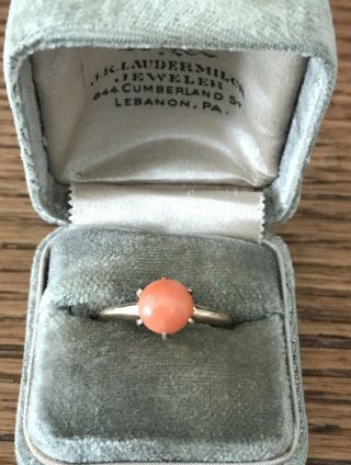 Antique Victorian 14k Gold Natural Coral Cabochon Ring