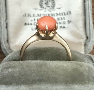 Antique Victorian 14k Gold Natural Coral Cabochon Ring 2
