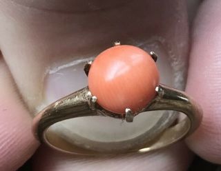 Antique Victorian 14k Gold Natural Coral Cabochon Ring 3