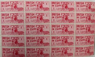 Rare EGYPT 1934 BRITISH FORCES 1 PIASTRE CARMINE 350 Stamps NH in 4 Books - S77 6