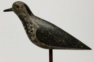Antique Fine Painted Hunting Decoy Shorebird Plover Snipe Birdshot Damage 10
