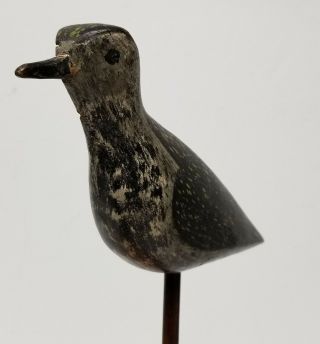 Antique Fine Painted Hunting Decoy Shorebird Plover Snipe Birdshot Damage 11