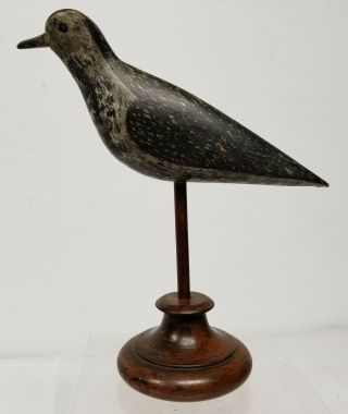 Antique Fine Painted Hunting Decoy Shorebird Plover Snipe Birdshot Damage