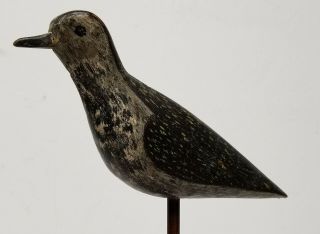 Antique Fine Painted Hunting Decoy Shorebird Plover Snipe Birdshot Damage 3