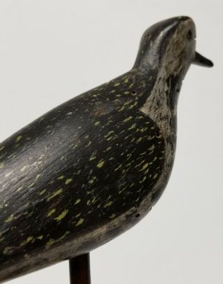 Antique Fine Painted Hunting Decoy Shorebird Plover Snipe Birdshot Damage 6