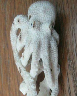 Very Unusual Hand Carved Scrimshaw Knife Handle Of An Octopus Staghorn Deer Bone